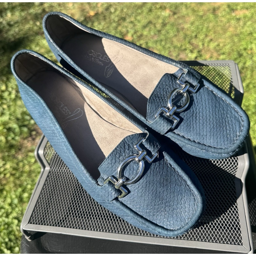 Aerosoles Loafers Women's 9, Blue Slip On Hazelnut Suede Buckle Flat - Picture 3 of 6
